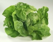 puterica